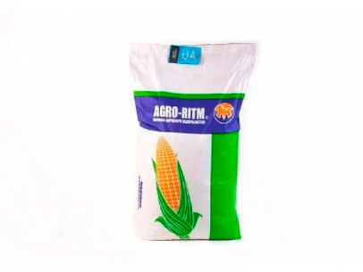 Де купити насіння кукурудзи від Агро Ритм: поради та переваги
