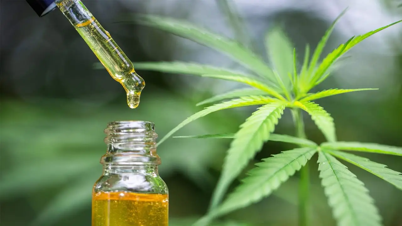 CBD желейки: форма, дозировка и эффект
