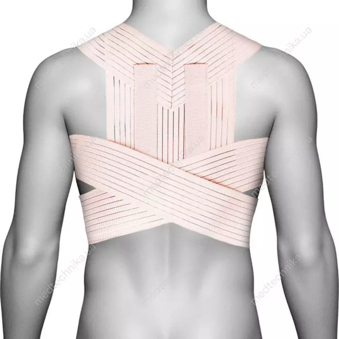 Корсет для выравнивания спины: как выбрать, советы и рекомендации