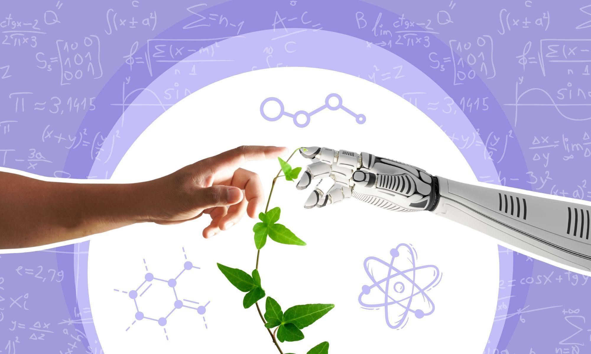 STEM-освіта в початковій школі: переваги та як обрати школу