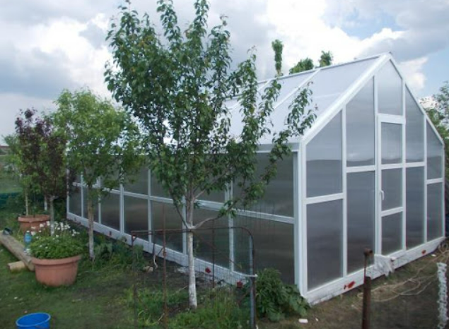 Чи варто купувати готову теплицю з полікарбонату